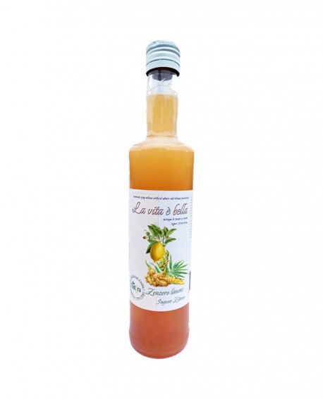 Puro Drink Zenzero e Limone artigianale - bottiglia 500ml - Puro Natura