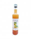 Puro Drink Zenzero e Limone artigianale - bottiglia 500ml - Puro Natura