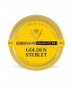 Caviale Golden Sterlet Limited Edition - 30g - Caviar Giaveri