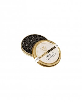 Caviale Beluga Siberian - 15g - cartone nr.6 pezzi - Caviar Giaveri