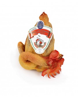 Pollo Nostrano BIONDI DI VILLANOVA maschio P.A.T.-intero 1600g-Slow Food-carne fresca in ATP-cartone n.5 pz-F.lli Miroglio