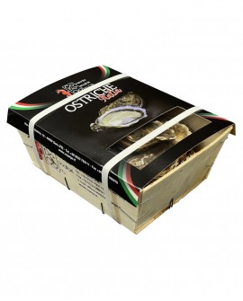 OSTRICA ITALIA CONCAVA S.ANTONIO fresco calibro 3 -  confezione 3Kg - origine Italia - Pescheria Consorzio PESCATORI DI GORO