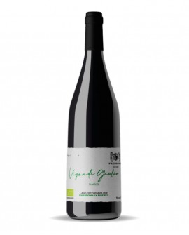 VIGNA DI GIULIO MMXIX Chardonnay Riserva DOC - vino bianco Biologico - bottiglia 0,75 Lt - Cantina Freddano dal 1927