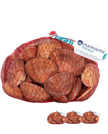 FASOLARO fresco Italia - confezione rete da 3x 1Kg - mar Adriatico - Pescheria Frutti di Mare MARINSIEME