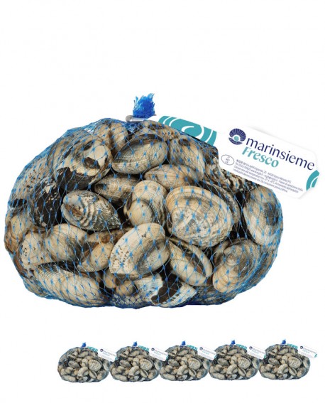 VONGOLA VERACE fresco Italia - confezione rete da 5x 1Kg - mar Adriatico - Pescheria Frutti di Mare MARINSIEME