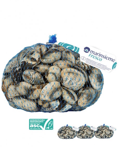 VONGOLA VERACE certificata ASC fresco Italia - confezione rete da 3x 1Kg - mar Adriatico - Pescheria Frutti di Mare MARINSIEME