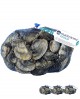 VONGOLA VERACE SUPER PREMIUM fresco Italia - confezione rete da 3x 1Kg - mar Adriatico - Pescheria Frutti di Mare MARINSIEME