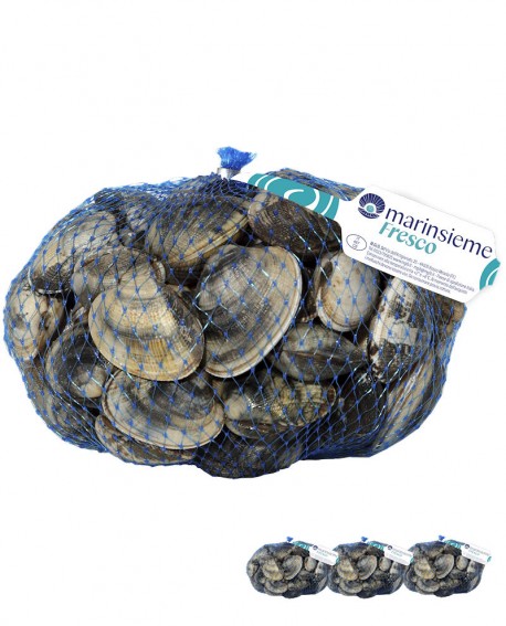 VONGOLA VERACE SUPER PREMIUM fresco Italia - confezione rete da 3x 1Kg - mar Adriatico - Pescheria Frutti di Mare MARINSIEME