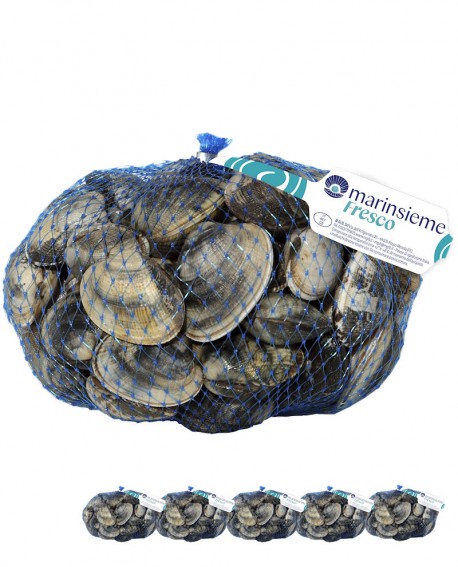 VONGOLA VERACE SUPER PREMIUM fresco Italia - confezione rete da 5x 1Kg - mar Adriatico - Pescheria Frutti di Mare MARINSIEME