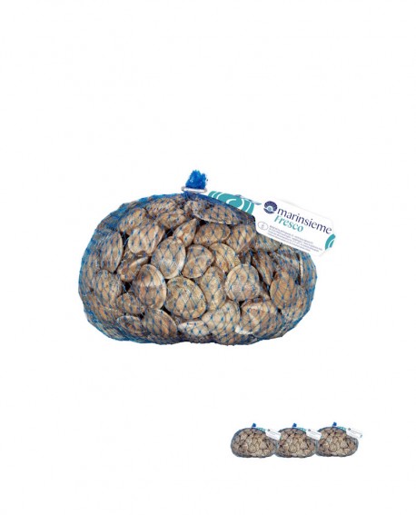 LUPINO fresco Italia - confezione rete da 3x 1Kg  - mar Adriatico - Pescheria Frutti di Mare MARINSIEME