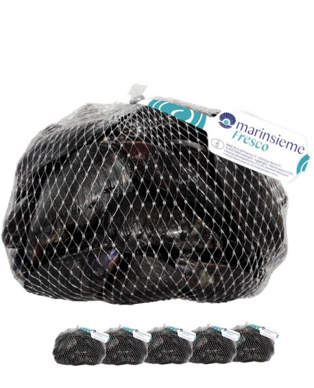 COZZE SPAZZOLATE o SGRANATE Italia fresco - confezione rete da 5x 1Kg - origine Italia - Pescheria Frutti di Mare MARINSIEME