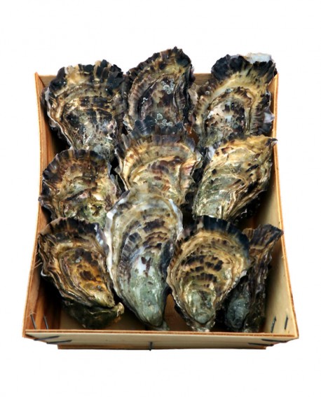 OSTRICA FRANCIA fresco 7-8 pezzi - confezione 1Kg - origine Francia - Pescheria Frutti di Mare MARINSIEME