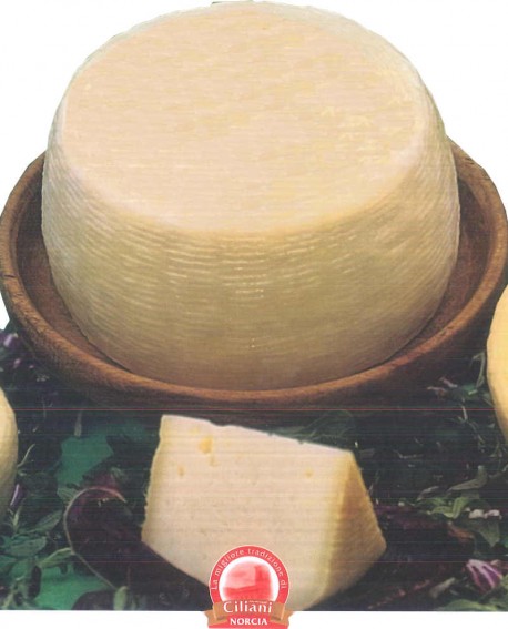 Pecorino - ovino 3,9-4,1 Kg - stagionatura 60 giorni - Ciliani