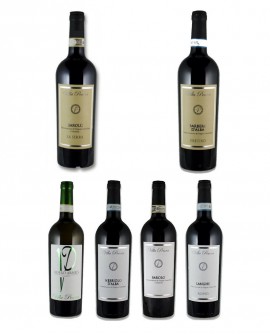 Degustazione Grandi Vini Piemontesi Villa Penna - 12 bottiglie