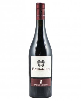 Beniamino IGP aglianico, vino rosso 8-10 mesi in barrique - bottiglia 0,75 lt - Cantina Vini Placido Volpone